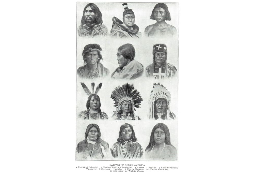 Native American in the North America