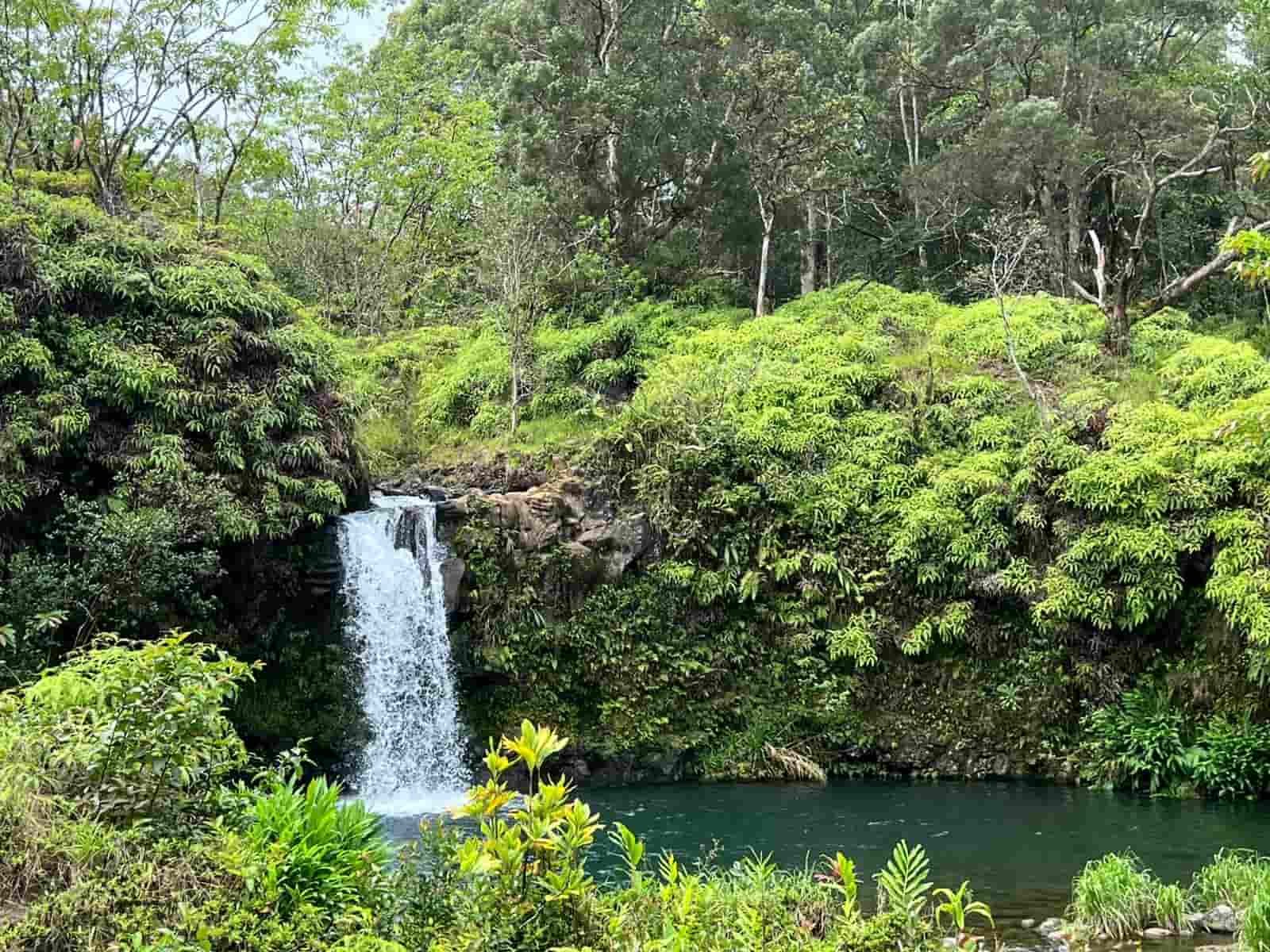 Scenic route to hana hawaii