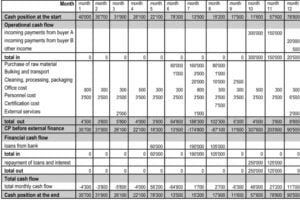 Cash flow management