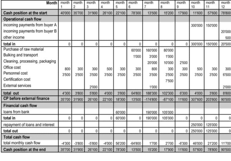 cash flow business plan