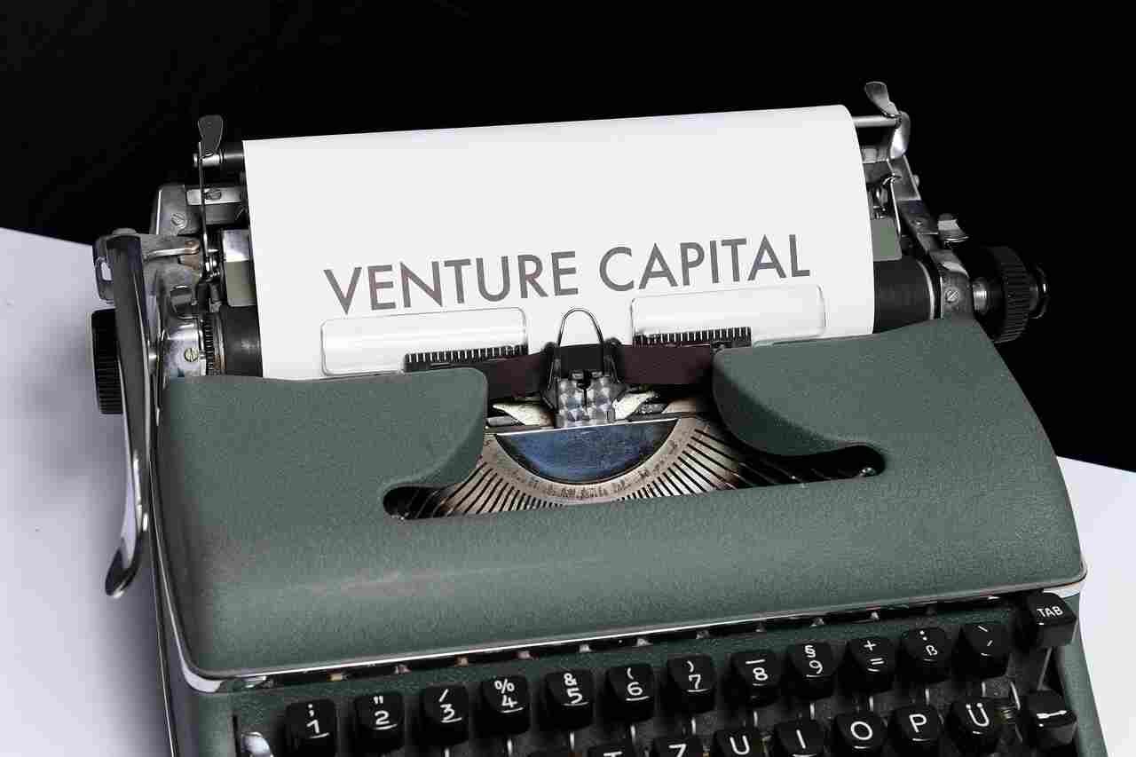 Venture Capital Investment: Examples, Cases, and Problem Solving