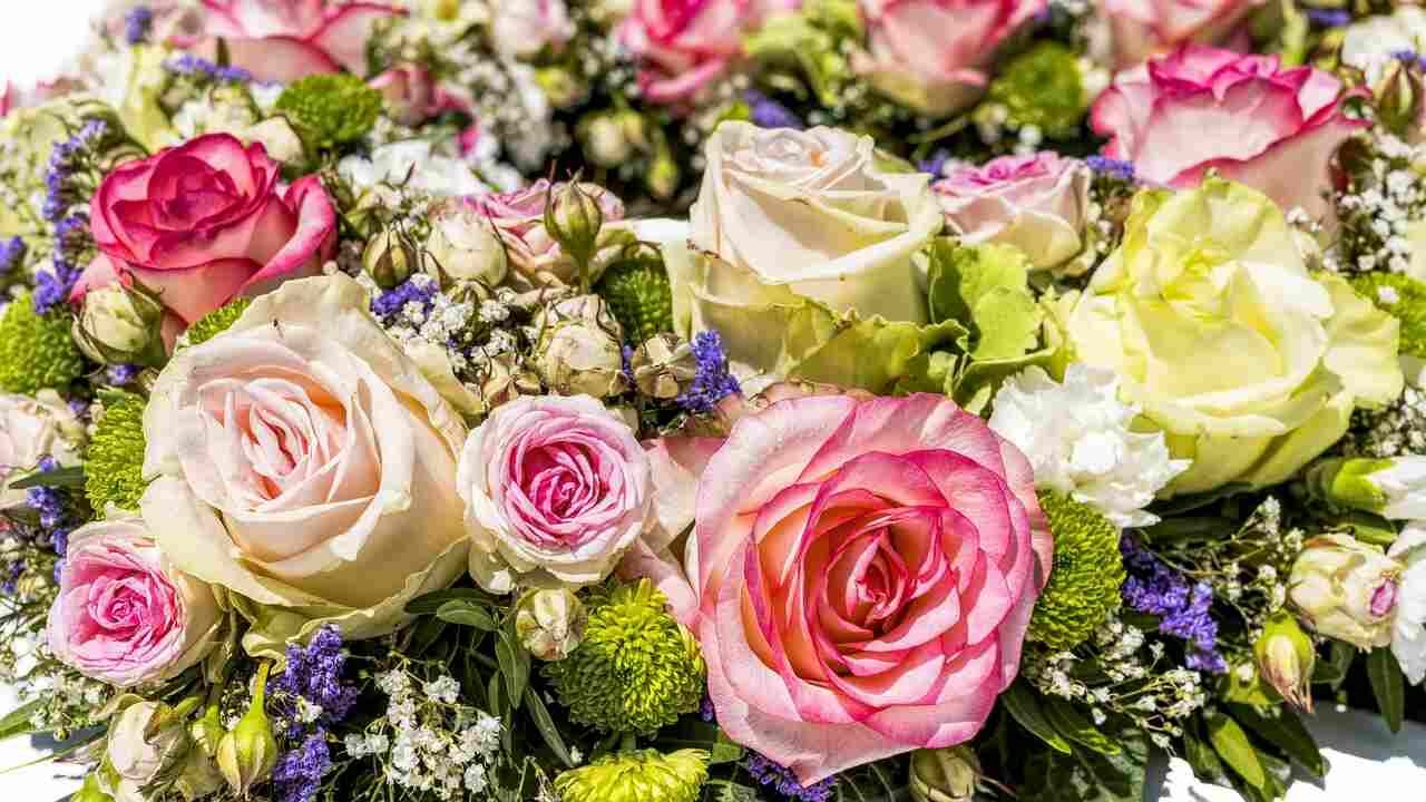 Color Combinations of Roses – The Perfect Floral Harmony for Every Occasion